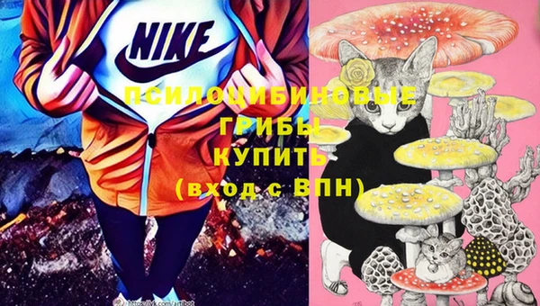 ПСИЛОЦИБИНОВЫЕ ГРИБЫ Заволжск