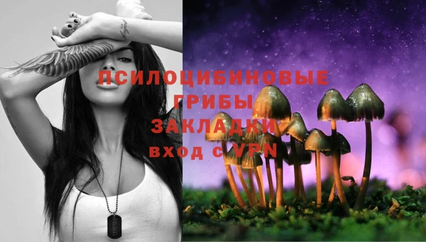 прущие грибы Заводоуковск