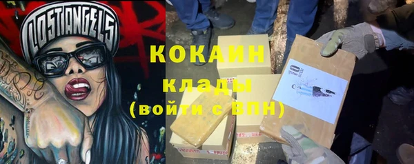 прущие грибы Заводоуковск