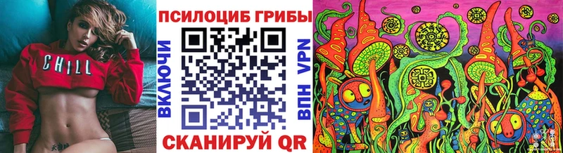 как найти закладки  Мурино  Галлюциногенные грибы Magic Shrooms 