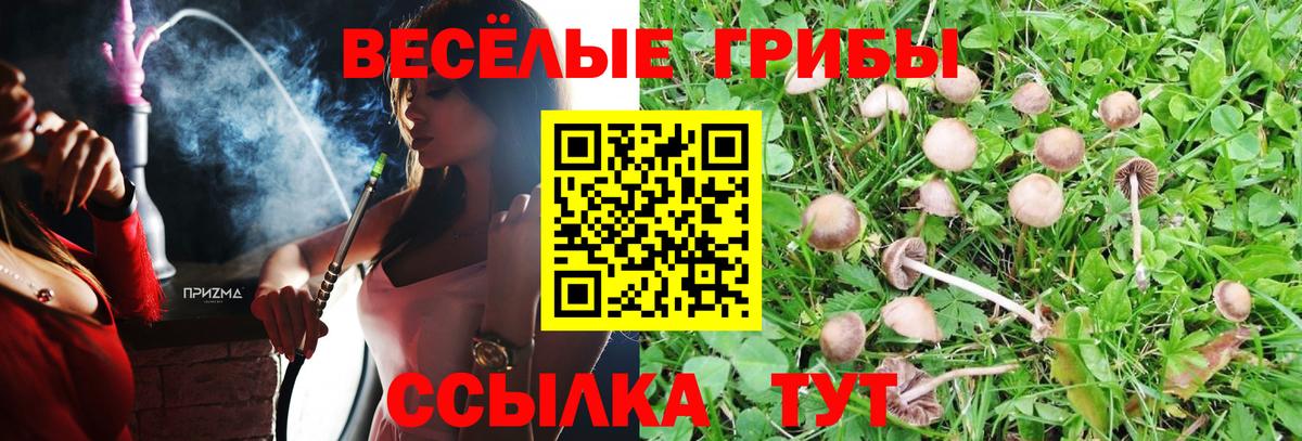Галлюциногенные грибы Cubensis Мурино