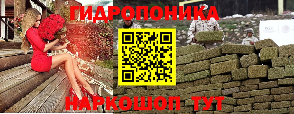 Бошки марихуана конопля Мурино