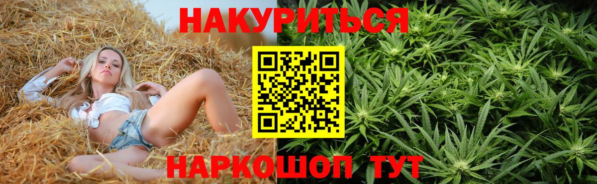 Бошки Шишки семена  Бошки марихуана марихуана  Вход с VPN  Бошки марихуана THC 21%  Канабис VHQ  Мурино 
